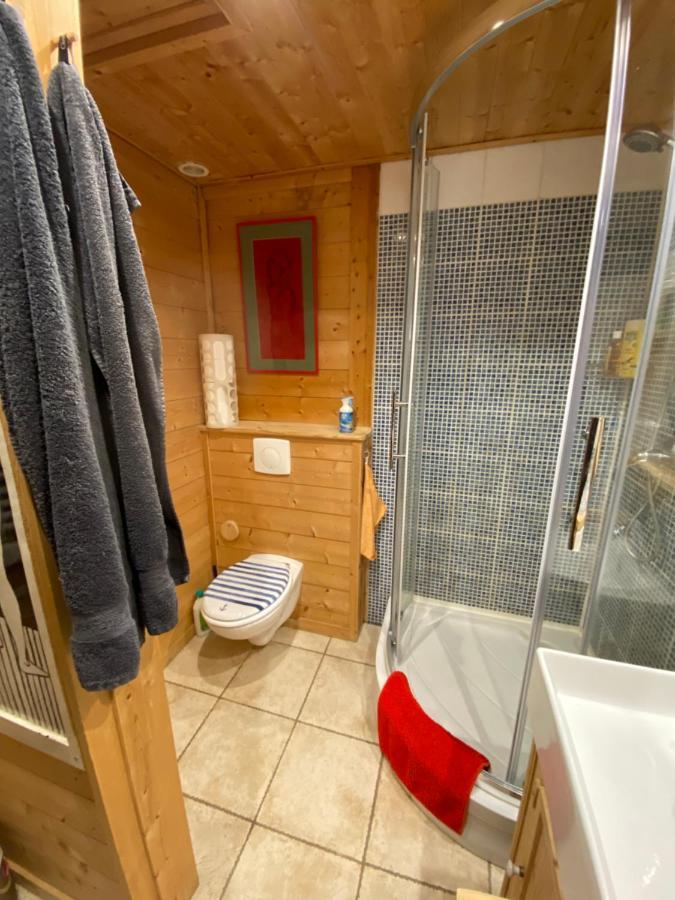 Chalet Les Chouettes Thônes Eksteriør bilde